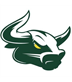 New Milford Bulls Football